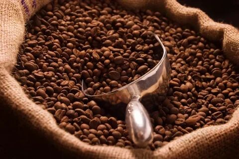 buy coffee beans