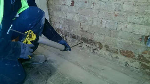 rising damp specialist sydney