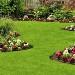 landscaping services near you